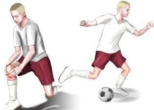 ازگود
